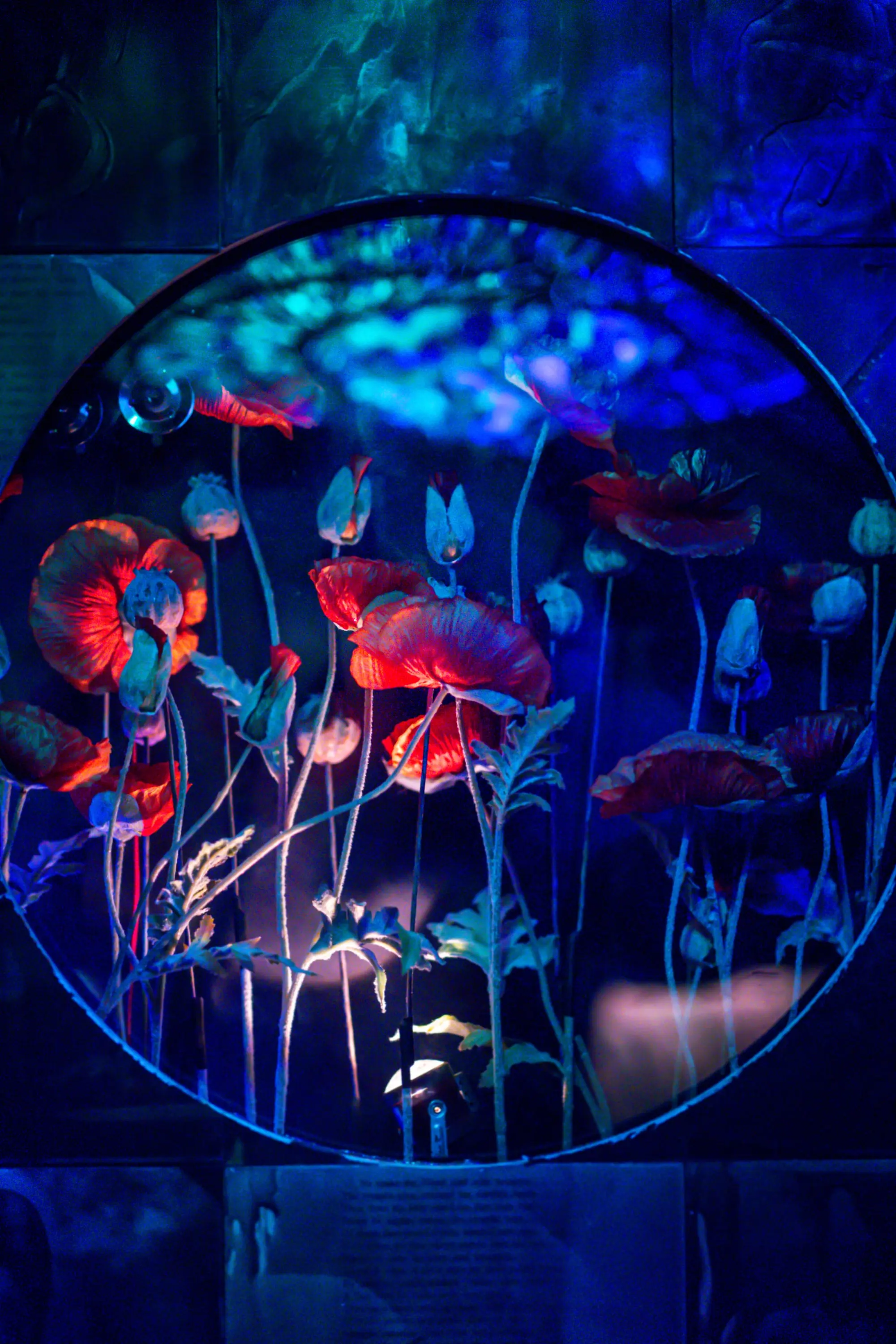 Circular illuminated window with poppies inside a carved surround at Paradise Lost